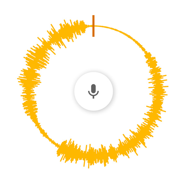 Voice Spinner